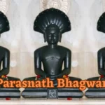 भक्ति बेकरार है आनंद अपार है – Jain Aarti